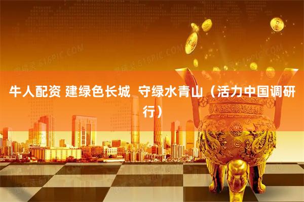 牛人配资 建绿色长城  守绿水青山（活力中国调研行）
