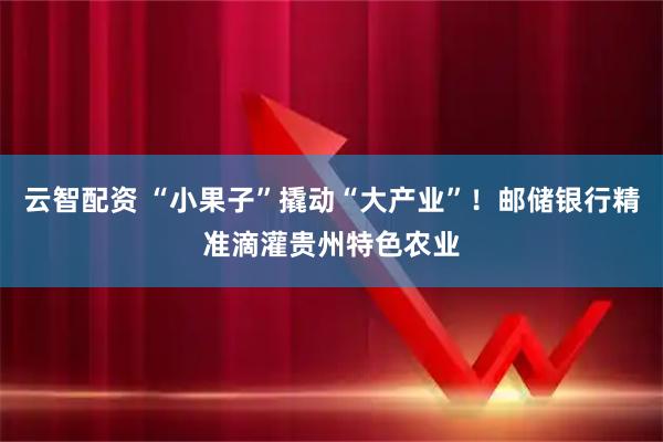 云智配资 “小果子”撬动“大产业”！邮储银行精准滴灌贵州特色农业