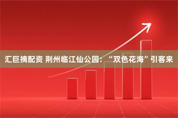 汇巨摘配资 荆州临江仙公园：“双色花海”引客来