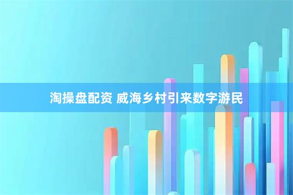 淘操盘配资 威海乡村引来数字游民