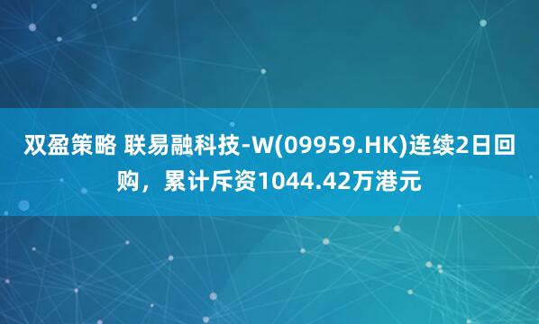 双盈策略 联易融科技-W(09959.HK)连续2日回购，累计斥资1044.42万港元